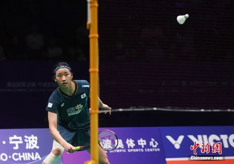 场提供了一 场提供了一